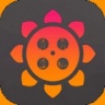 向日葵下载小猪app安装免费版