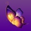 蝴蝶视频app在线观看