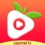 草莓视频app成年免费下载安装