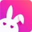 兔子视频app