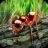 蚂蚁世界模拟器 3.0.1 安卓版