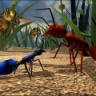 解救星际小蚂蚁 1.0 安卓版