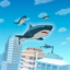 飞行饥饿鲨 V1.0.0 安卓版