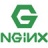 Nginx(高性能Web服务器) V1.21.1 稳定版