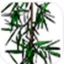 Tree Maker(sketchup树木生成插件) V1.10.14 免费版