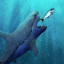 饥饿的疯狂鲨鱼世界大白鲨进化 V1.0 安卓版