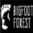 大脚怪森林（BigfootMonsterHunter） V1.9 安卓版