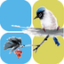 小鸟记账 v1.2.0