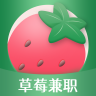 草莓兼职app v1.0.0