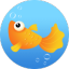 雏鱼短视频1.0.3版本v1.0.3