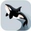 虎鲸快讯appv1.0.0
