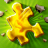拼图冒险游戏(JigsawPuzzleAdVentures) V2021.49 安卓版